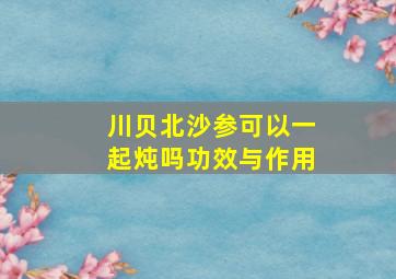 川贝北沙参可以一起炖吗功效与作用