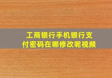 工商银行手机银行支付密码在哪修改呢视频