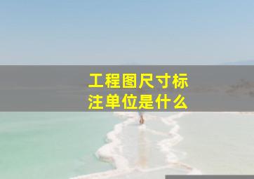 工程图尺寸标注单位是什么