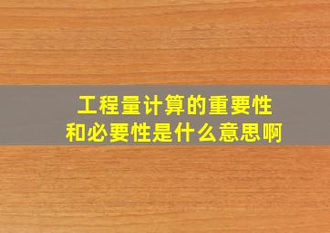 工程量计算的重要性和必要性是什么意思啊