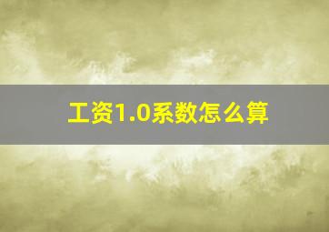 工资1.0系数怎么算