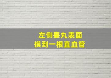 左侧睾丸表面摸到一根直血管