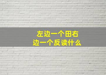 左边一个田右边一个反读什么