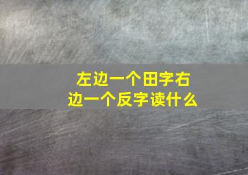 左边一个田字右边一个反字读什么