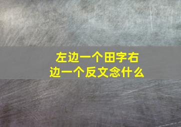 左边一个田字右边一个反文念什么