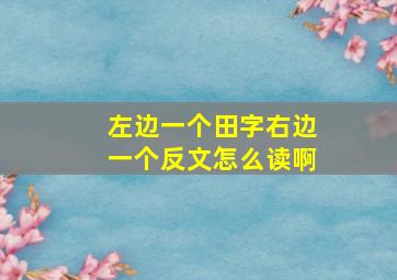 左边一个田字右边一个反文怎么读啊