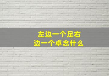 左边一个足右边一个卓念什么