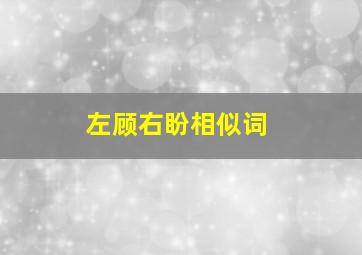 左顾右盼相似词