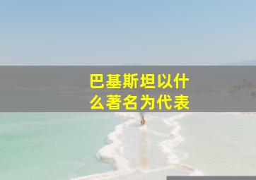 巴基斯坦以什么著名为代表