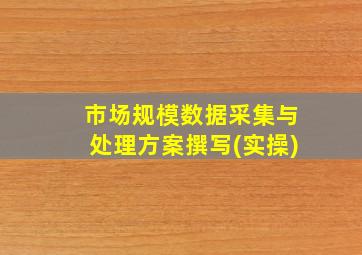 市场规模数据采集与处理方案撰写(实操)