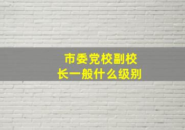 市委党校副校长一般什么级别