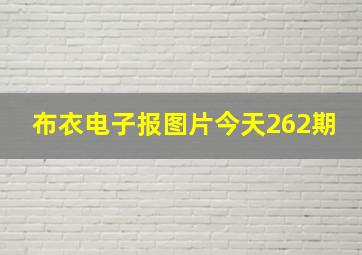 布衣电子报图片今天262期