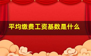 平均缴费工资基数是什么