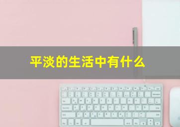 平淡的生活中有什么