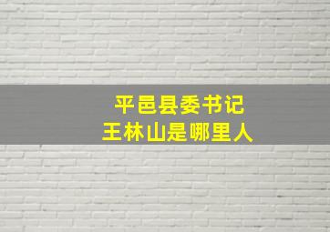 平邑县委书记王林山是哪里人