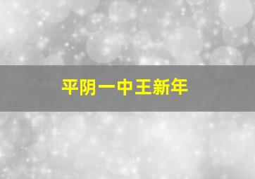 平阴一中王新年