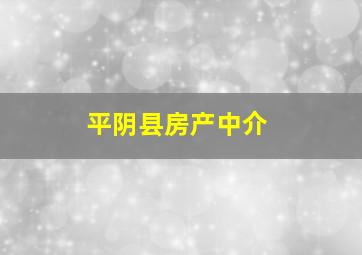 平阴县房产中介