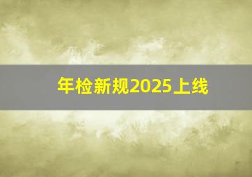 年检新规2025上线