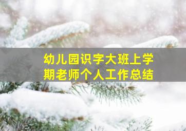 幼儿园识字大班上学期老师个人工作总结