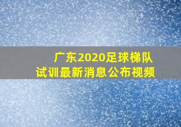 广东2020足球梯队试训最新消息公布视频