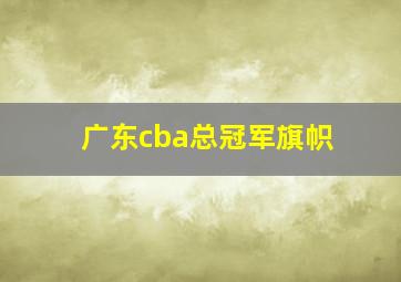 广东cba总冠军旗帜