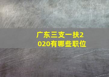 广东三支一扶2020有哪些职位