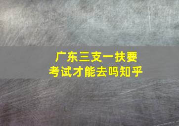 广东三支一扶要考试才能去吗知乎