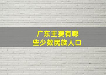 广东主要有哪些少数民族人口