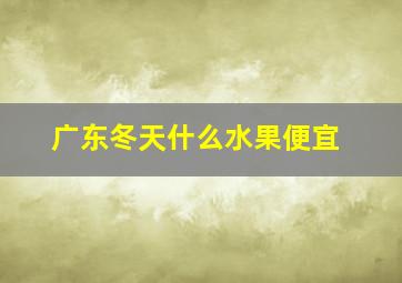 广东冬天什么水果便宜