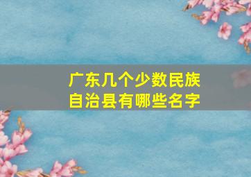 广东几个少数民族自治县有哪些名字