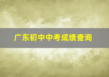 广东初中中考成绩查询