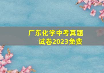 广东化学中考真题试卷2023免费