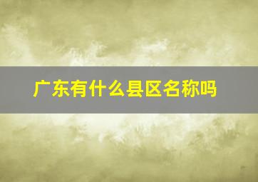 广东有什么县区名称吗