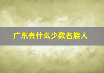 广东有什么少数名族人