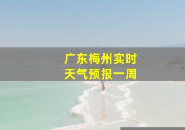 广东梅州实时天气预报一周