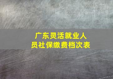 广东灵活就业人员社保缴费档次表