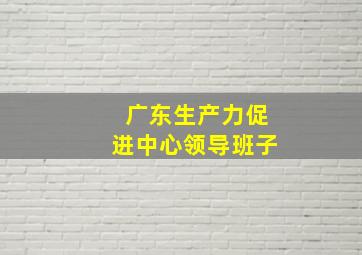 广东生产力促进中心领导班子