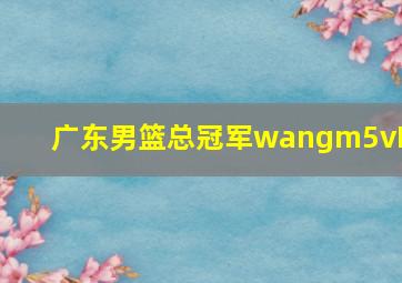 广东男篮总冠军wangm5vM6