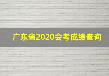 广东省2020会考成绩查询