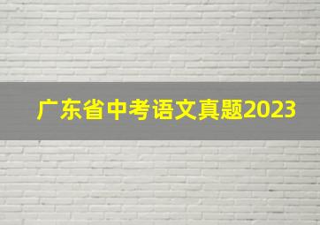 广东省中考语文真题2023