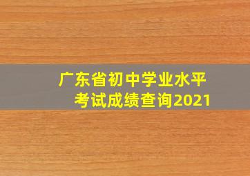 广东省初中学业水平考试成绩查询2021