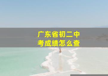 广东省初二中考成绩怎么查