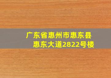 广东省惠州市惠东县惠东大道2822号楼