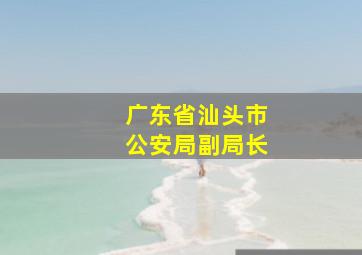 广东省汕头市公安局副局长