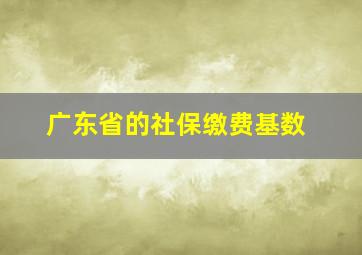 广东省的社保缴费基数