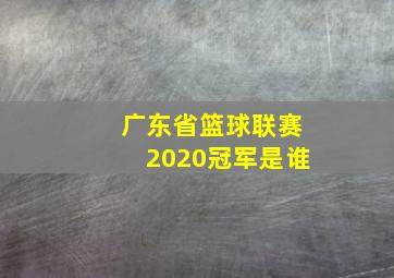 广东省篮球联赛2020冠军是谁