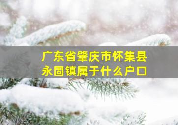 广东省肇庆市怀集县永固镇属于什么户口