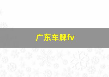 广东车牌fv