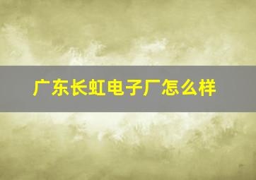 广东长虹电子厂怎么样