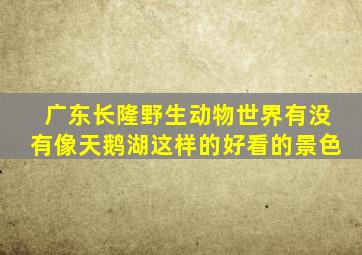 广东长隆野生动物世界有没有像天鹅湖这样的好看的景色